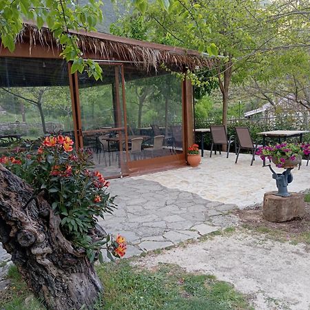 Hotel Xenonas Souliou Samonída Exterior foto